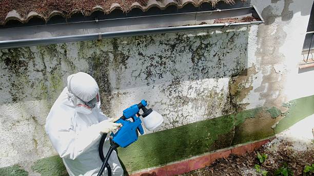 Trusted Commercial Mold Remediation service in Westport, WA - Cheap Mold Removal